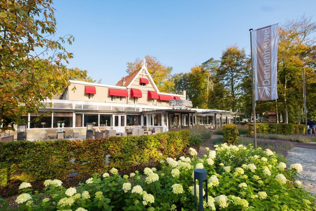 dennenheuvel